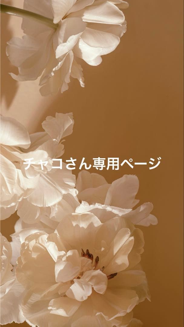 チャコさん専用ページ⭐︎アクアドルナオールインワンジェル