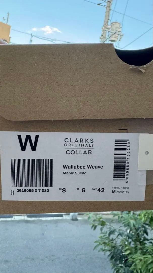 Supreme Clarks ワラビー　26cm