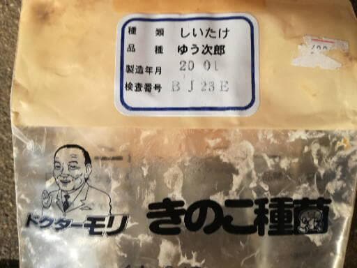 和・古・採さまご予約専用 大分県特産 生どんこ椎茸「秋子」ダブル