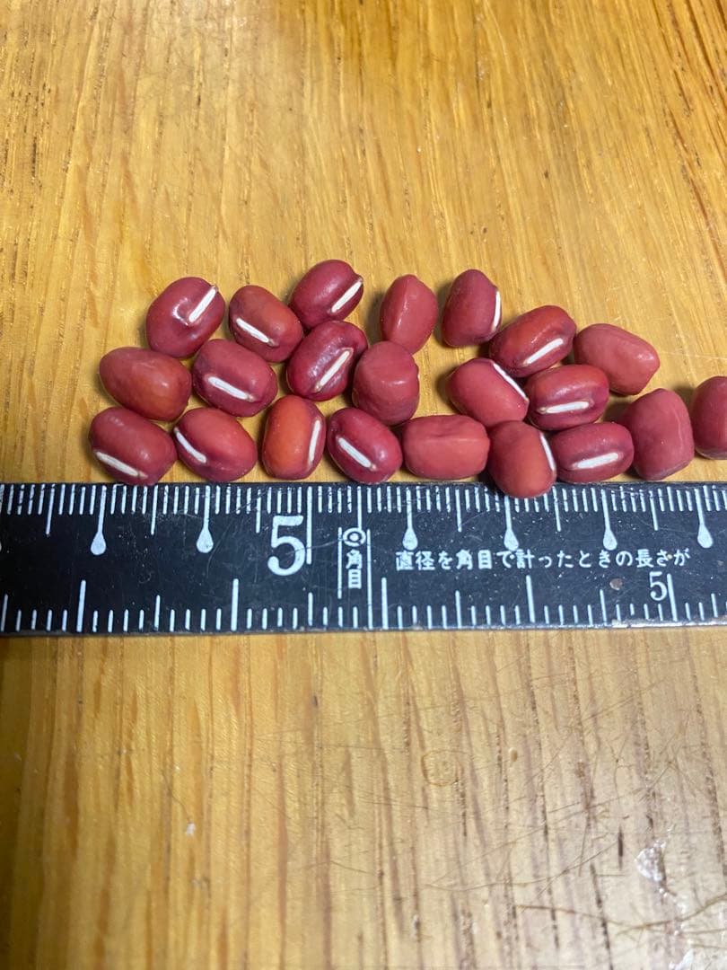 丹波大納言小豆　1kg　【無農薬✨️】 兵庫県丹波市産