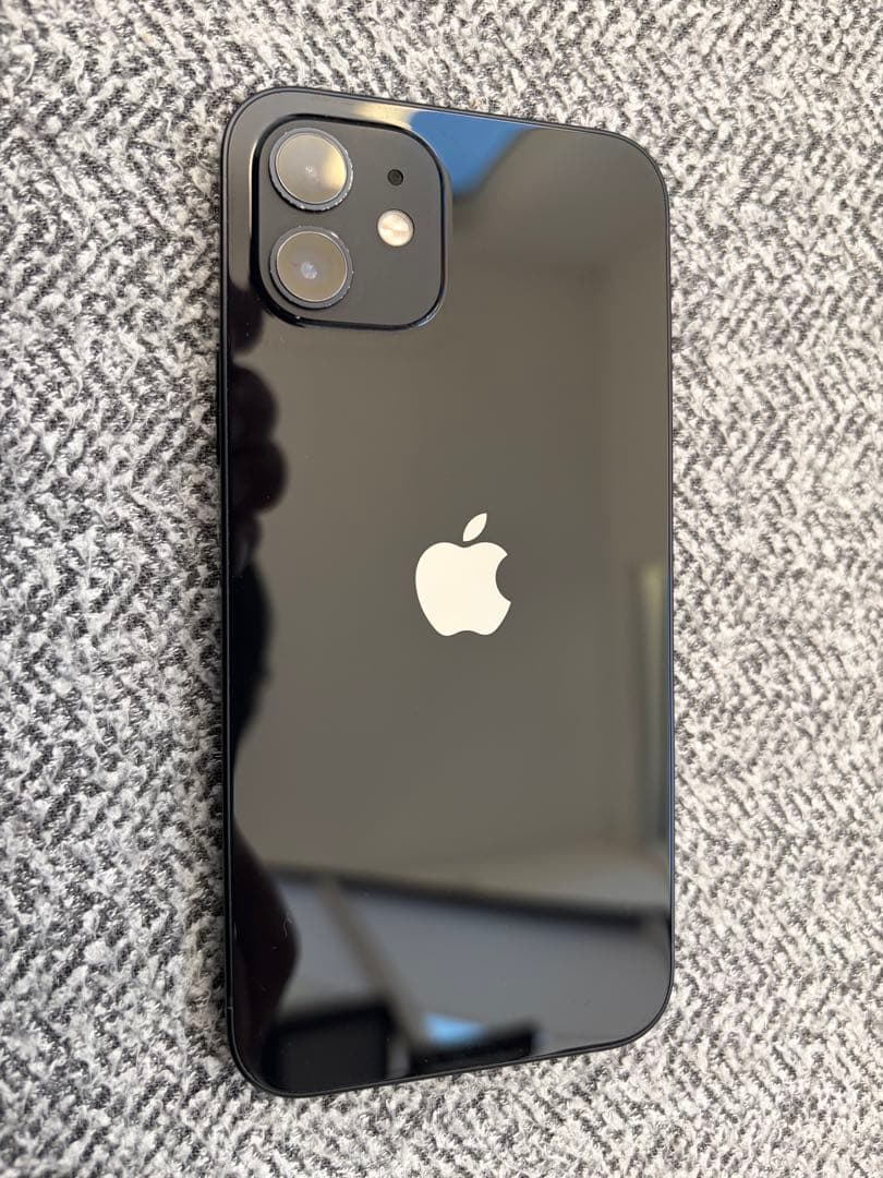 Apple iPhone 12 ブラック ジャンク品　ケース付き