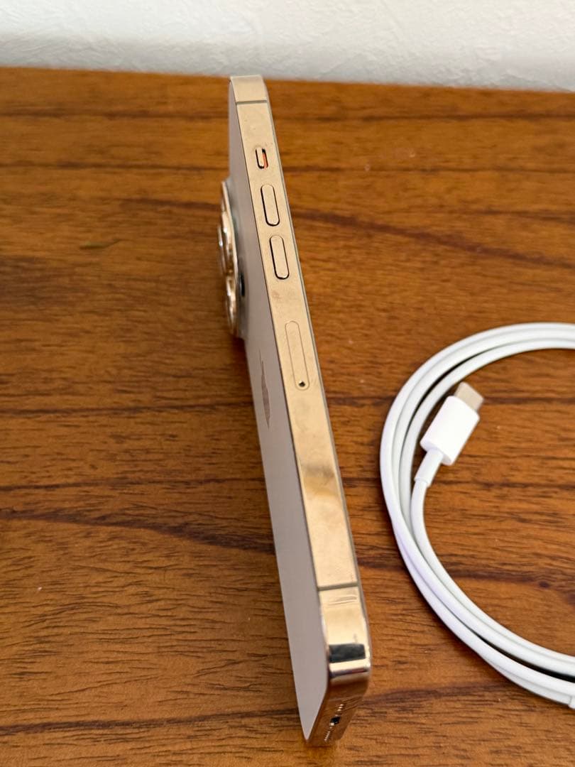 iPhone13Pro 256GB 本体のみ 充電ケーブル付き 初期化済