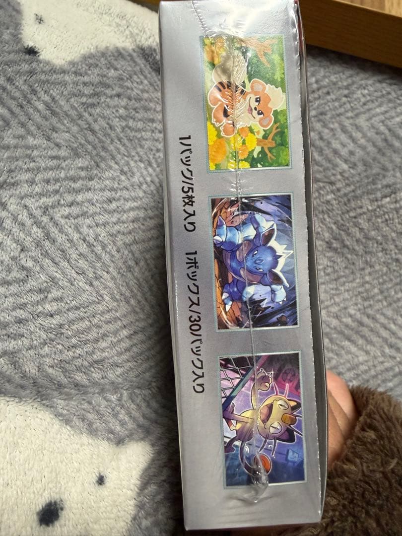 ロケット団の栄光 &熱風のアリーナ（シュリンク有り）