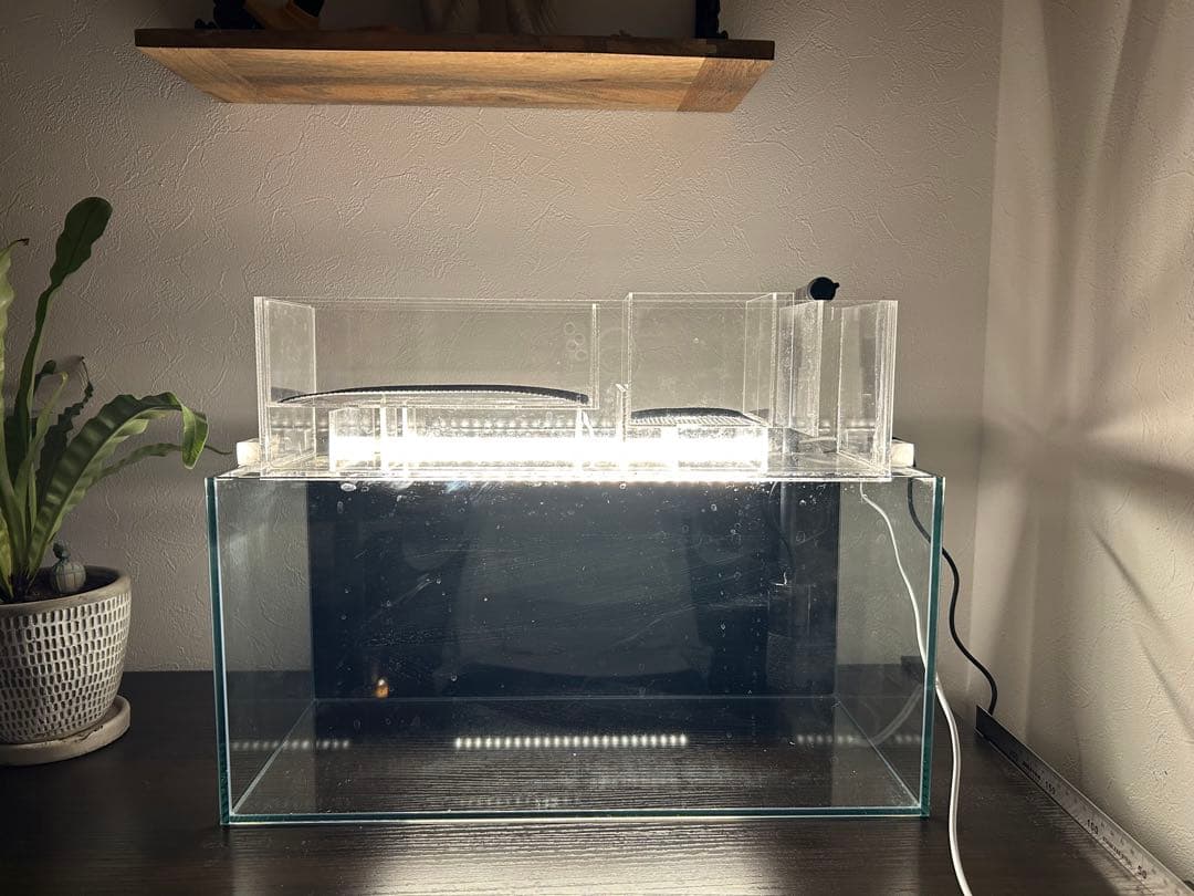 すぐ始められる！！上部濾過式アクアポニックス水槽アクアリウム水槽