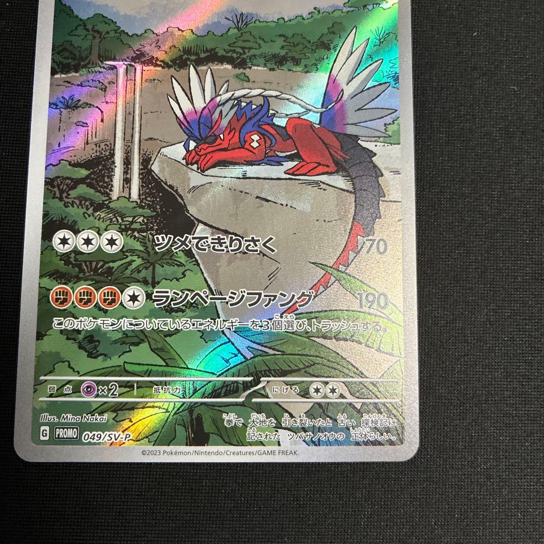 ミライドン　コライドン　シールド戦プロモ