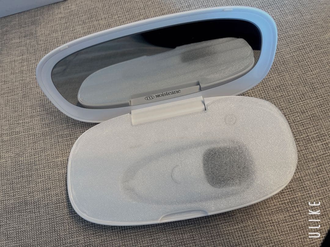 Moisteane IV 美容器