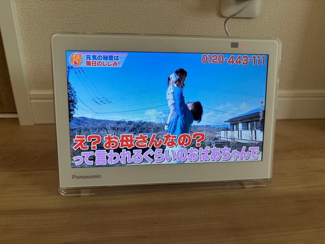 期間限定セール！Panasonic VIERA ポータブルテレビ