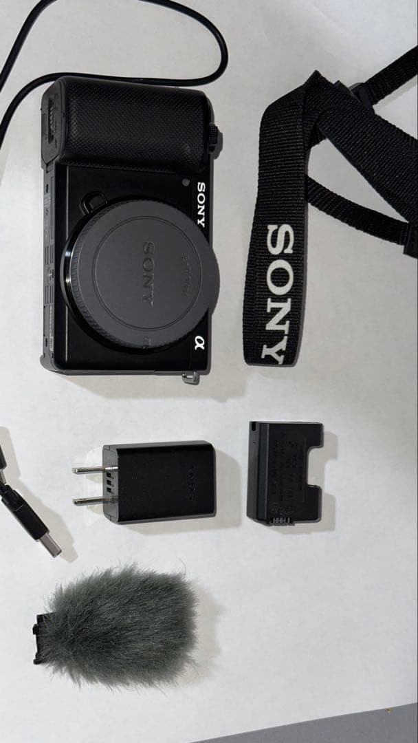 SONY ZV-E10 VLOGCAMミラーレスカメラ 本体 + 便利ツール