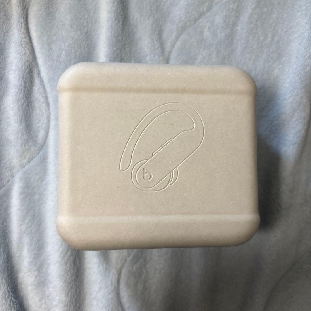 Powerbeats Pro 2 、イヤーピース、ケース