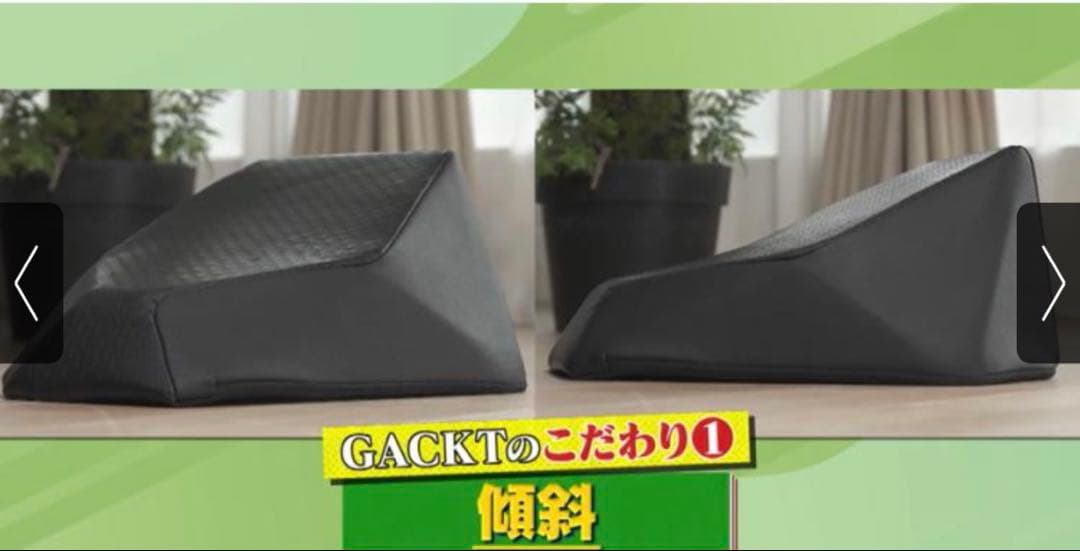 し*く様 エクストラクッション/GACKTプロデュース《ブラック》