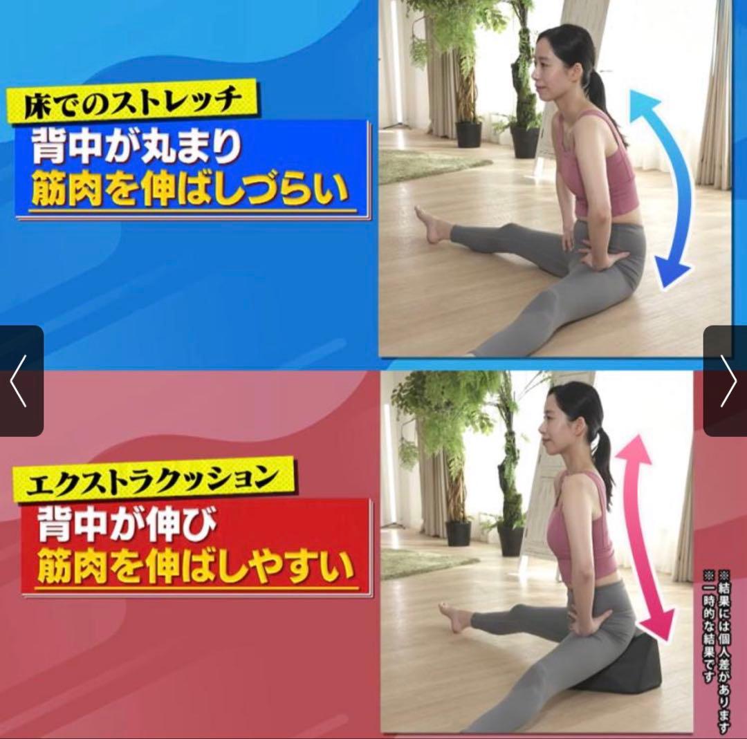 し*く様 エクストラクッション/GACKTプロデュース《ブラック》