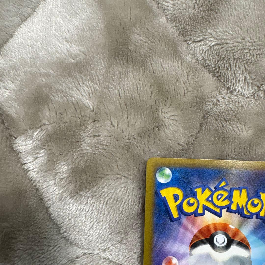 ポケモンカード　リザードンv sr sa