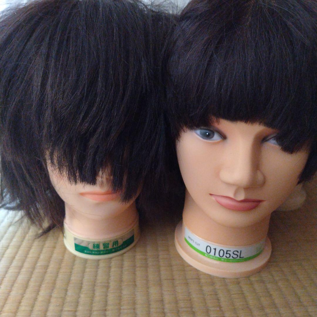 美容師国家試験練習用 ウィッグ10体