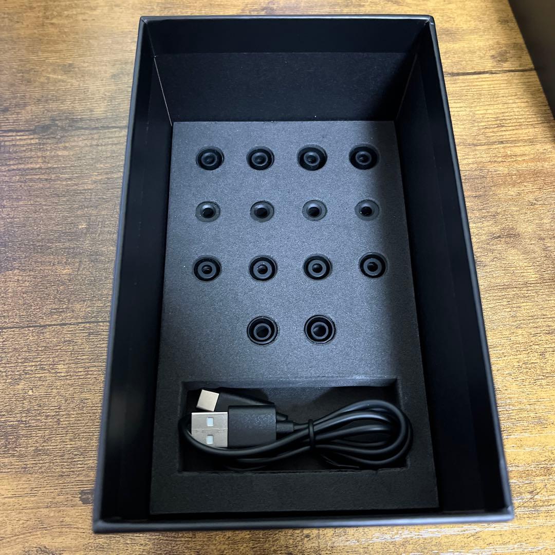 HIFIMAN Svanar Wireless ワイヤレスイヤホン