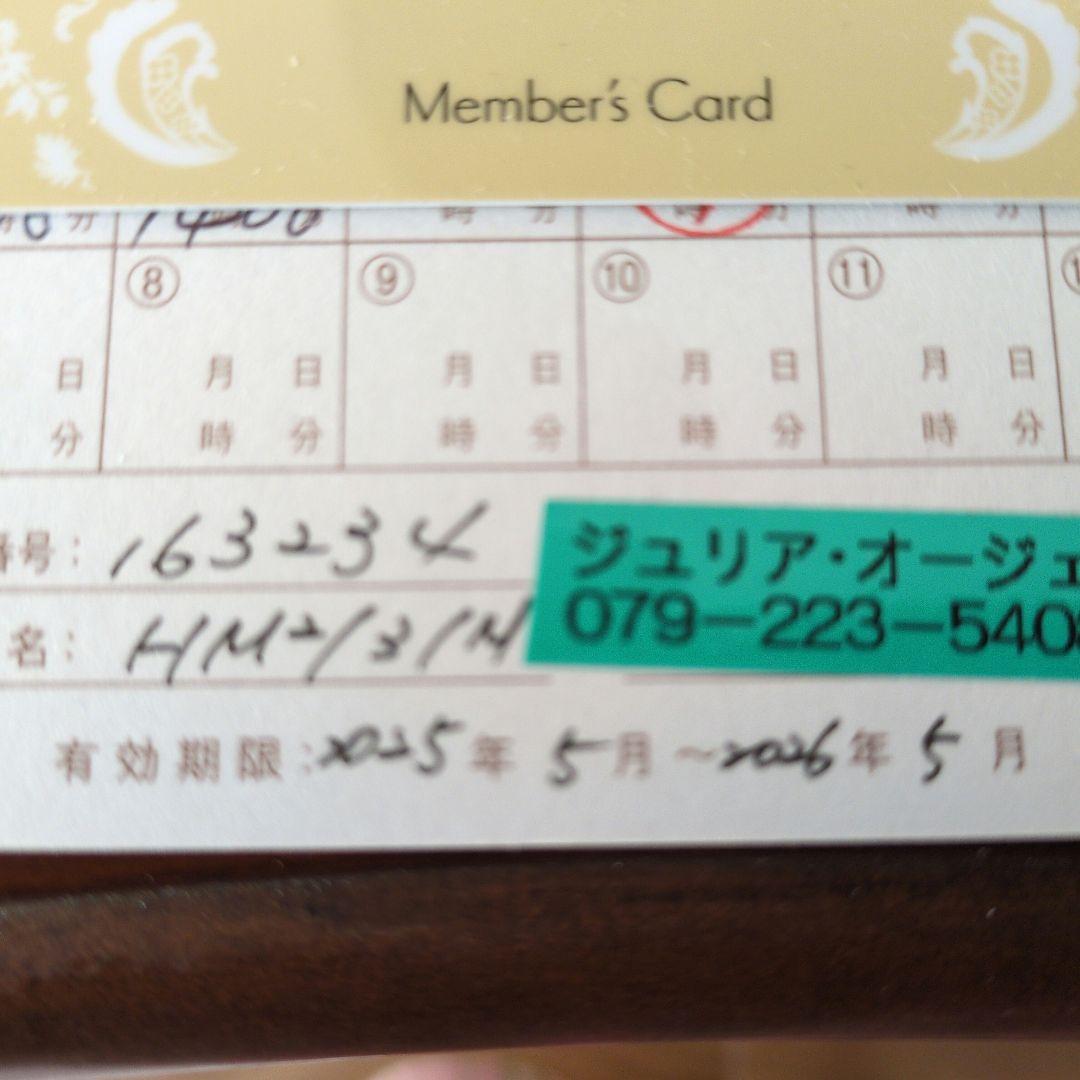 ジュリアオージェ　ダークブラウン ショートウィッグ