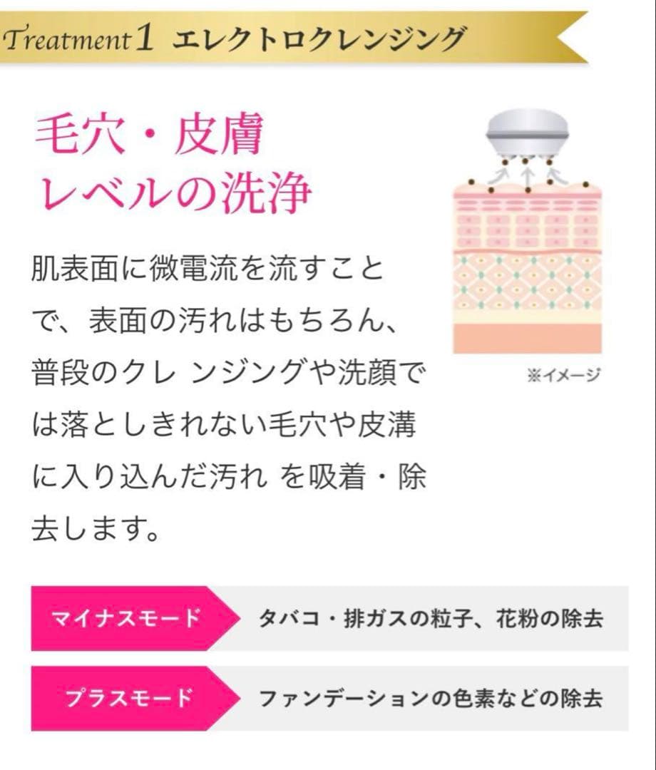 セルキュア 美顔器 温熱機能付き 充電器・ケース付