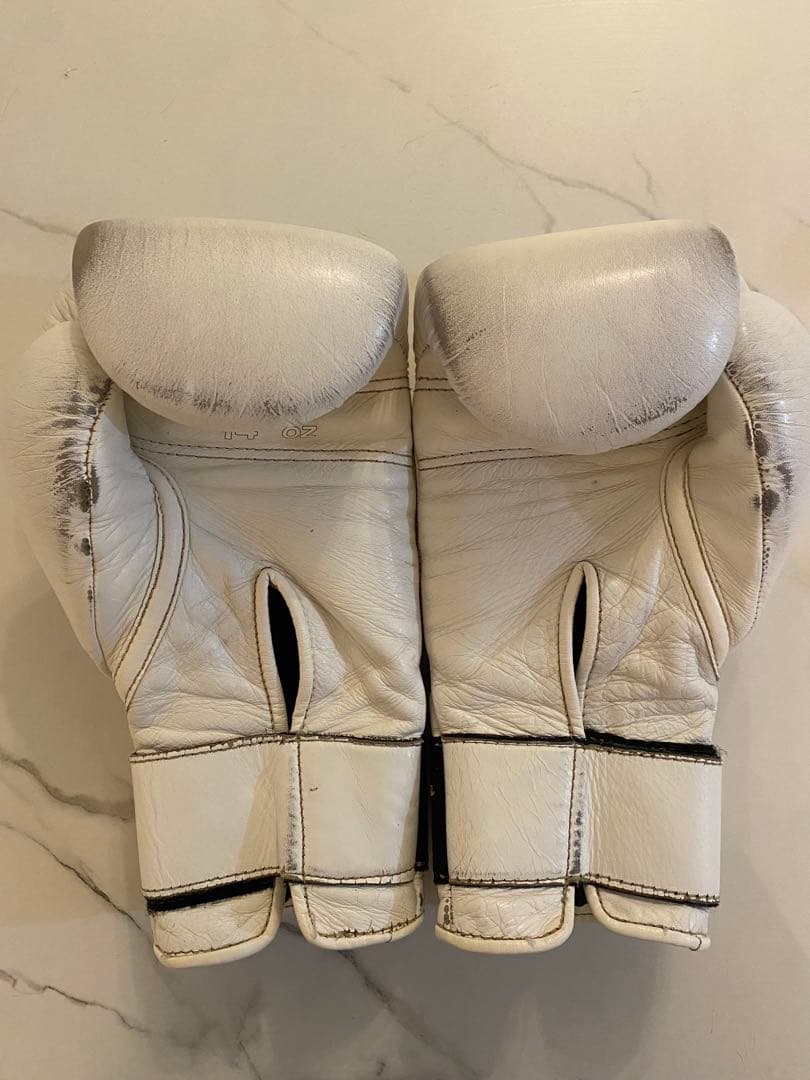 taro　Winning プロフェッショナル用14オンスグローブ