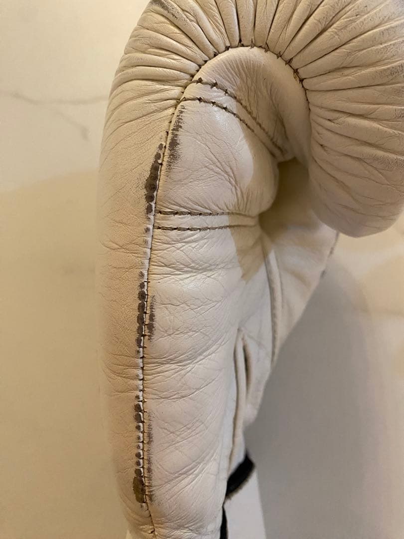 taro　Winning プロフェッショナル用14オンスグローブ