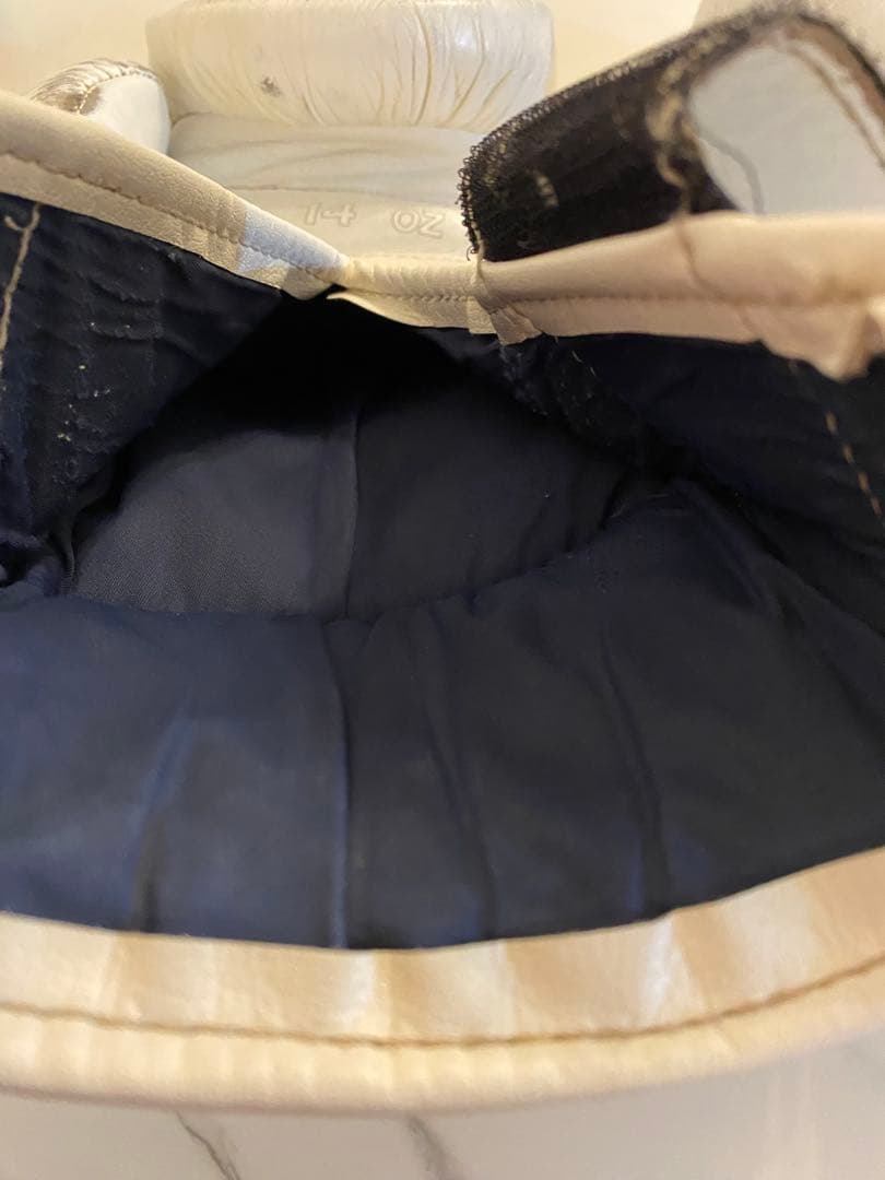 taro　Winning プロフェッショナル用14オンスグローブ