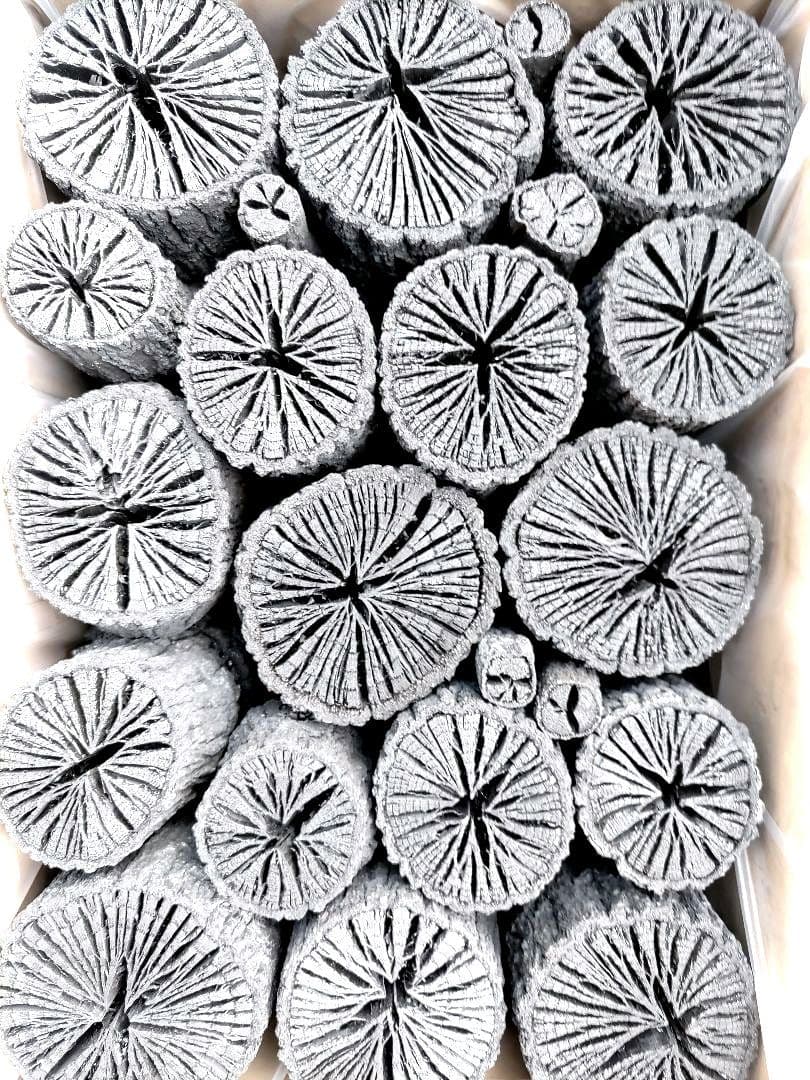 たーちん①【 伊予の切炭 】太め菊炭特選×2箱