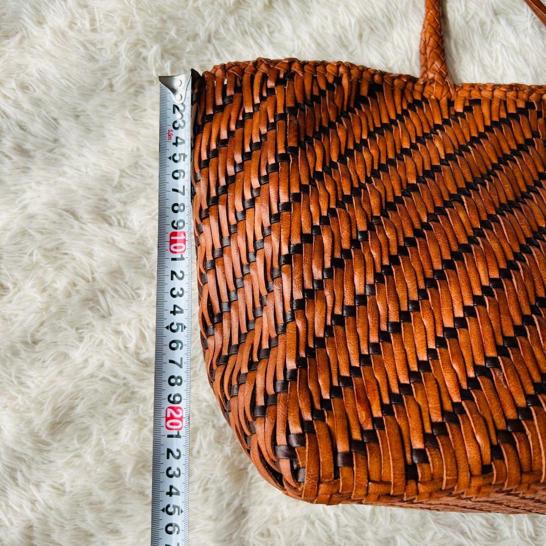 DRAGON Craig for HUMAN WOMAN メッシュバッグA4可能