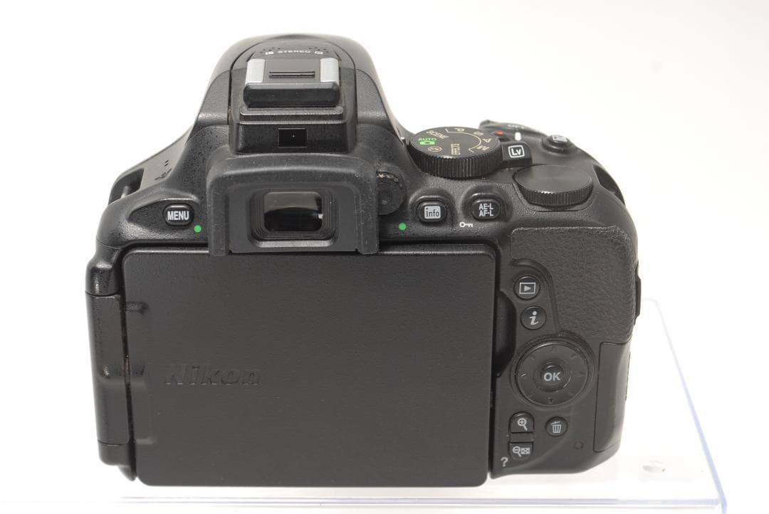 ☘️ショット数少なめ⭐美品☘️Nikon D5600 ダブルズームキット