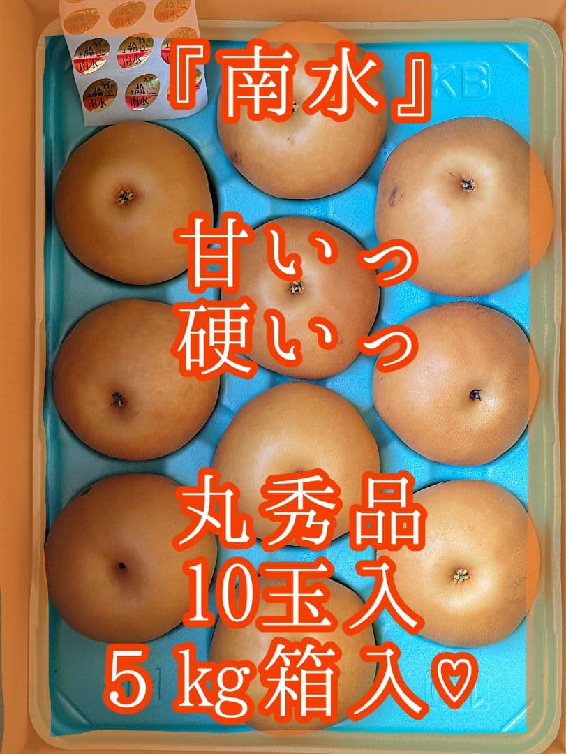 はる♡２箱♡南水梨♡大きめサイズ♡10玉入♡５kg箱入♡