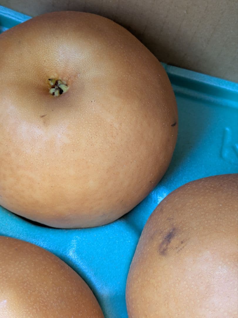 はる♡２箱♡南水梨♡大きめサイズ♡10玉入♡５kg箱入♡