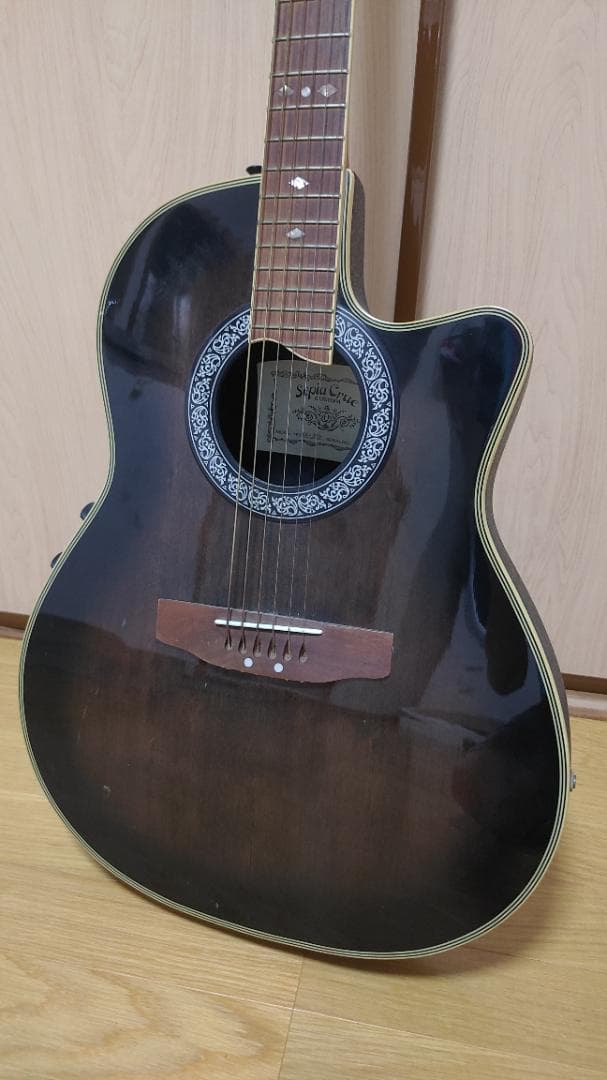 ギター Sepia Crue Custom EA-300