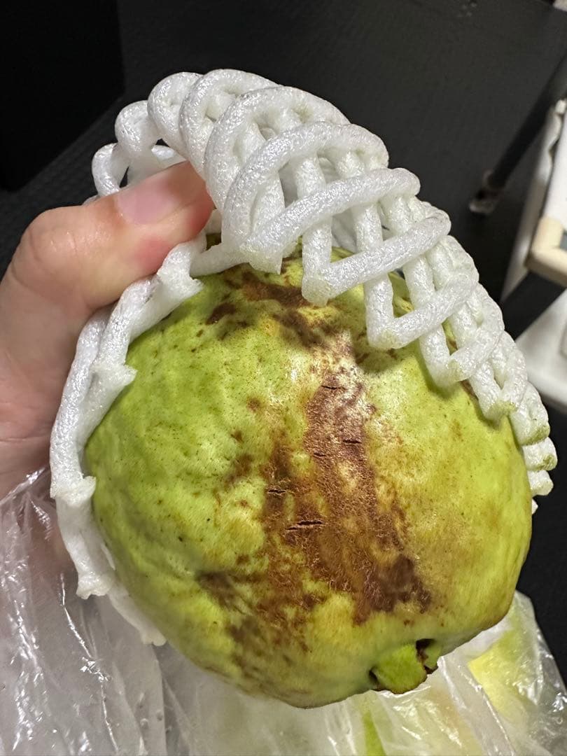 特大サイズ　新鮮 グアバ 5キロ 訳あり