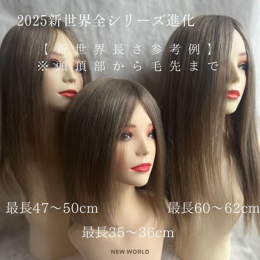 2025新世界ウィッグ高級人毛100% レミー人毛【総手植え】 S Sサイズ