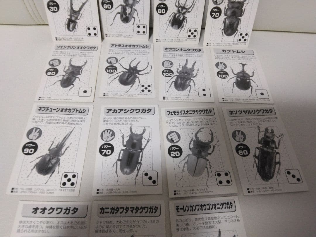 昆虫トレーディングカード 15枚セット
