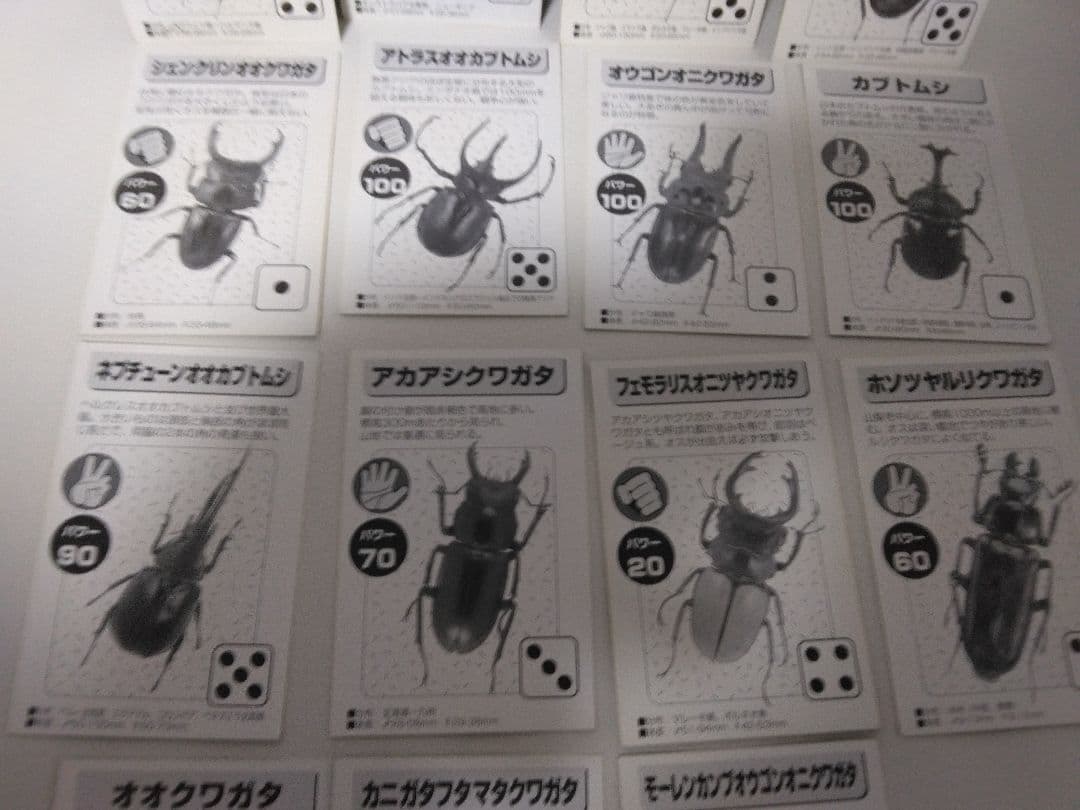 昆虫トレーディングカード 15枚セット