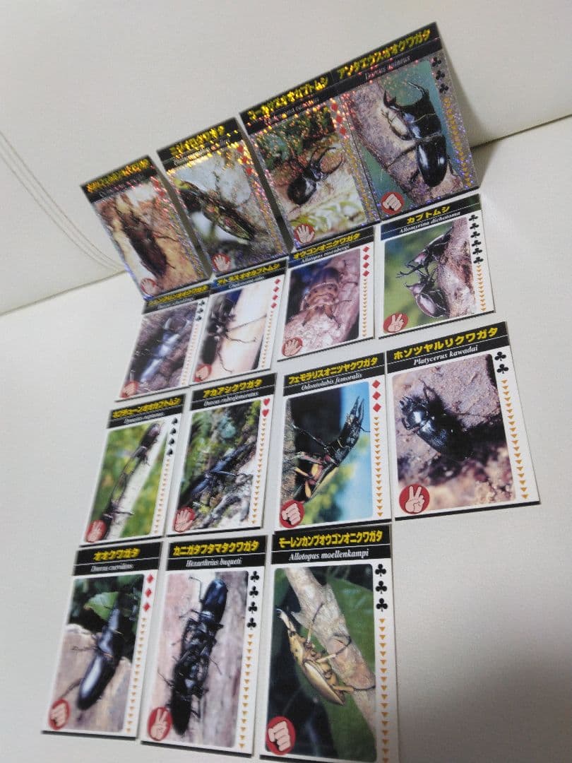 昆虫トレーディングカード 15枚セット