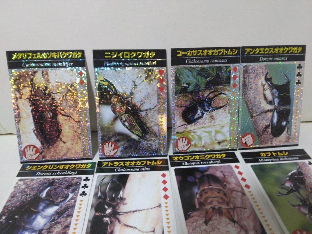 昆虫トレーディングカード 15枚セット