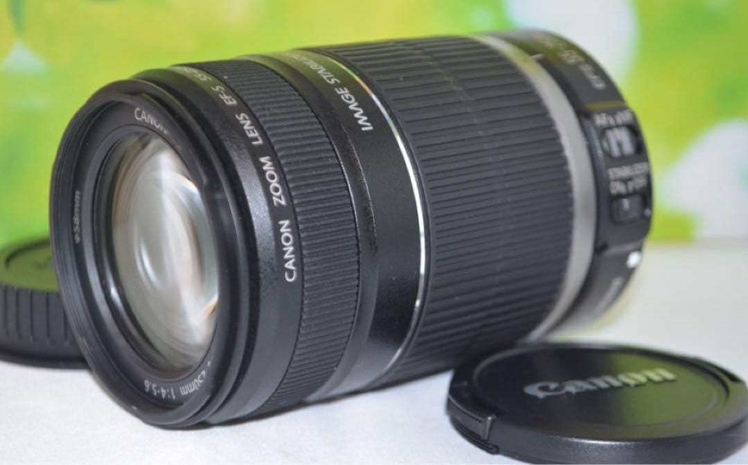 美品　キャノン Canon EF-S 55-250mm IS☆お手軽望遠