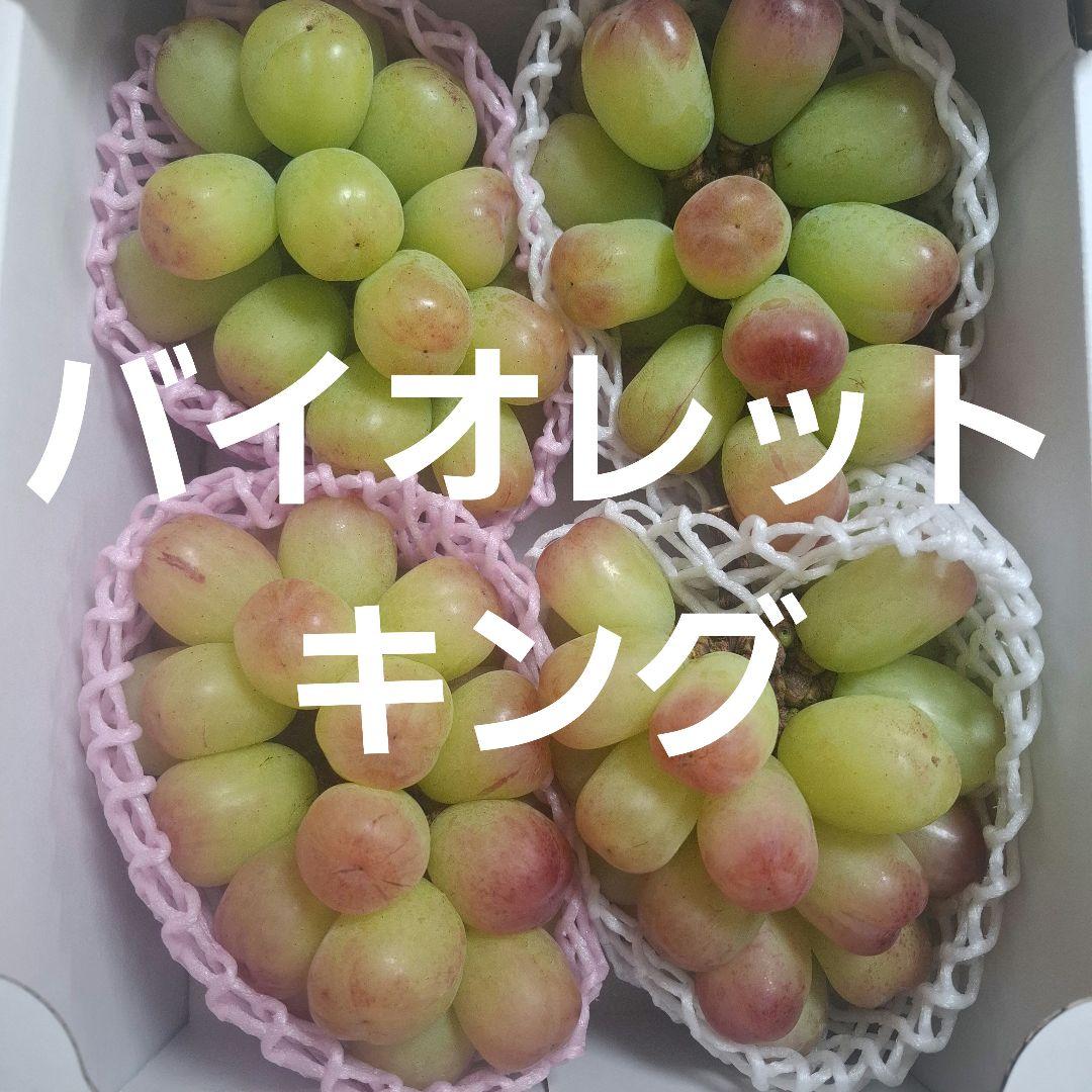 バイオレットキング 大粒