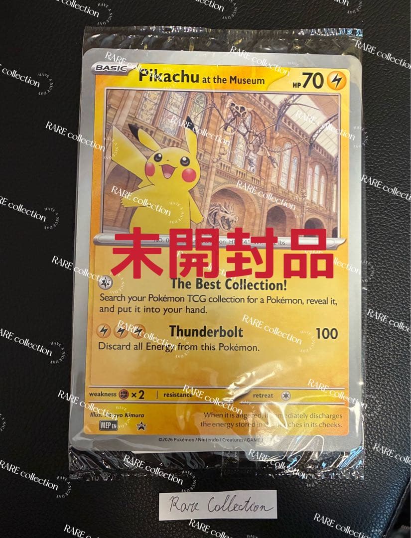 Pikachu at the Museum ピカチュウ ロンドン自然史博物館⑧