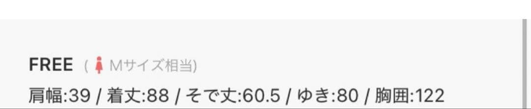 コットンレーヨンチュニック　レース