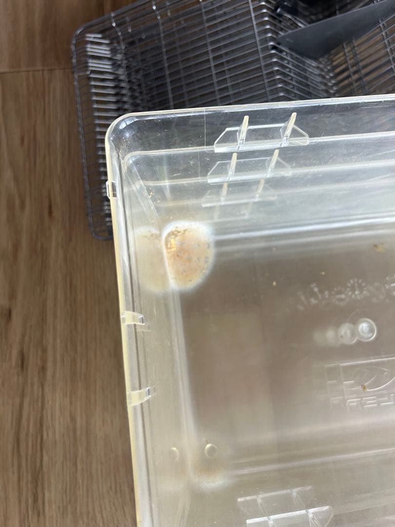 MIRU 飼育ケージ