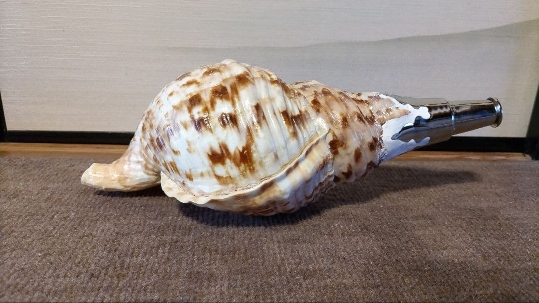 法螺貝　⑪