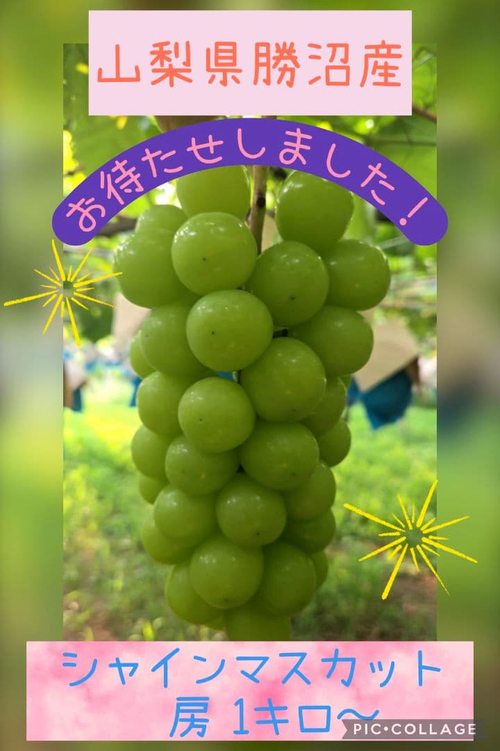 Honeyさん　専用