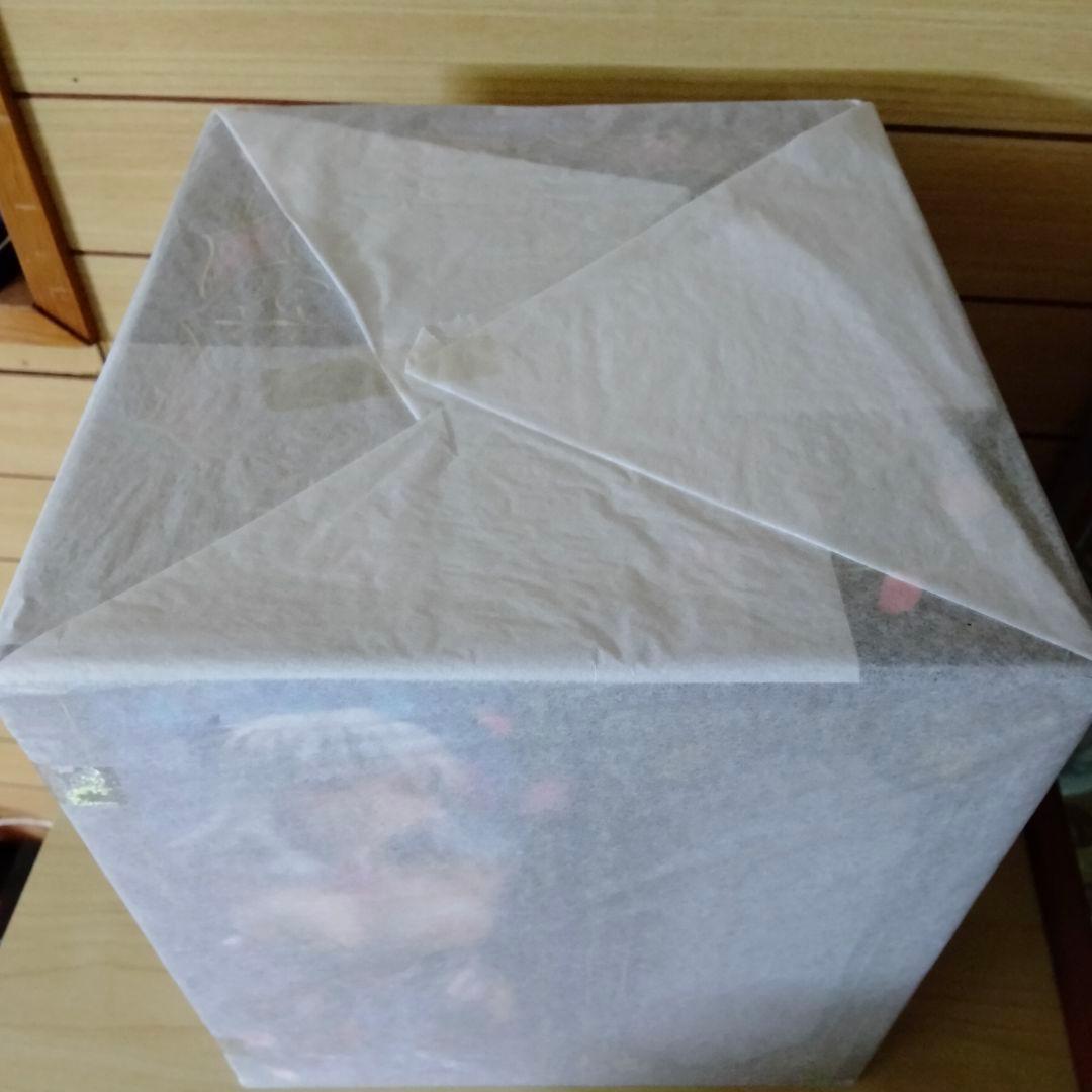 未開封　Fate/Grand Order アサシン/カーマ(最終再臨)フィギュア