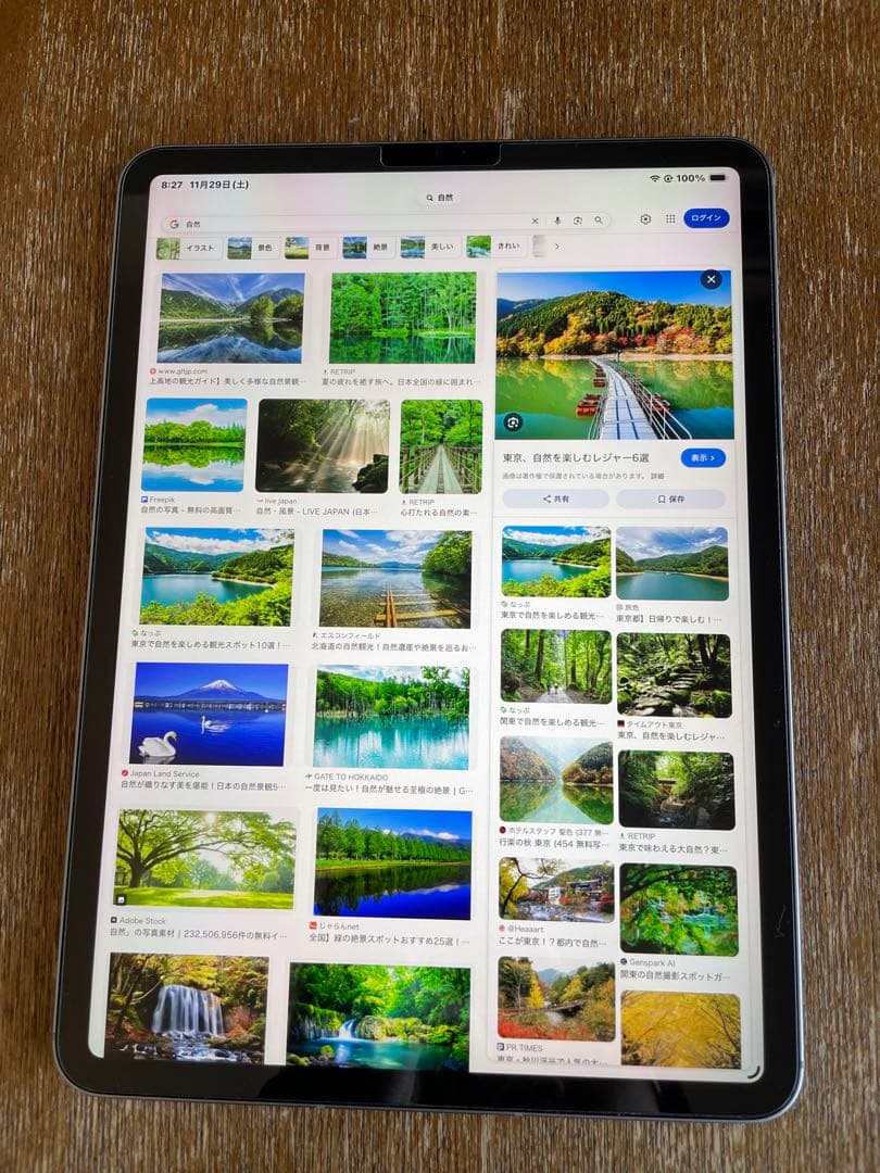 【iPadPro11】（第4世代）Wi-Fi + Cellular 256GB