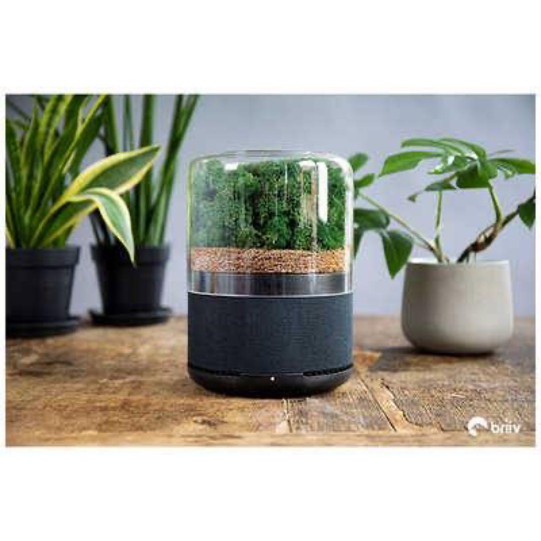 skuuu　briiv 空気清浄機 英国発 自然派エコ BV0001