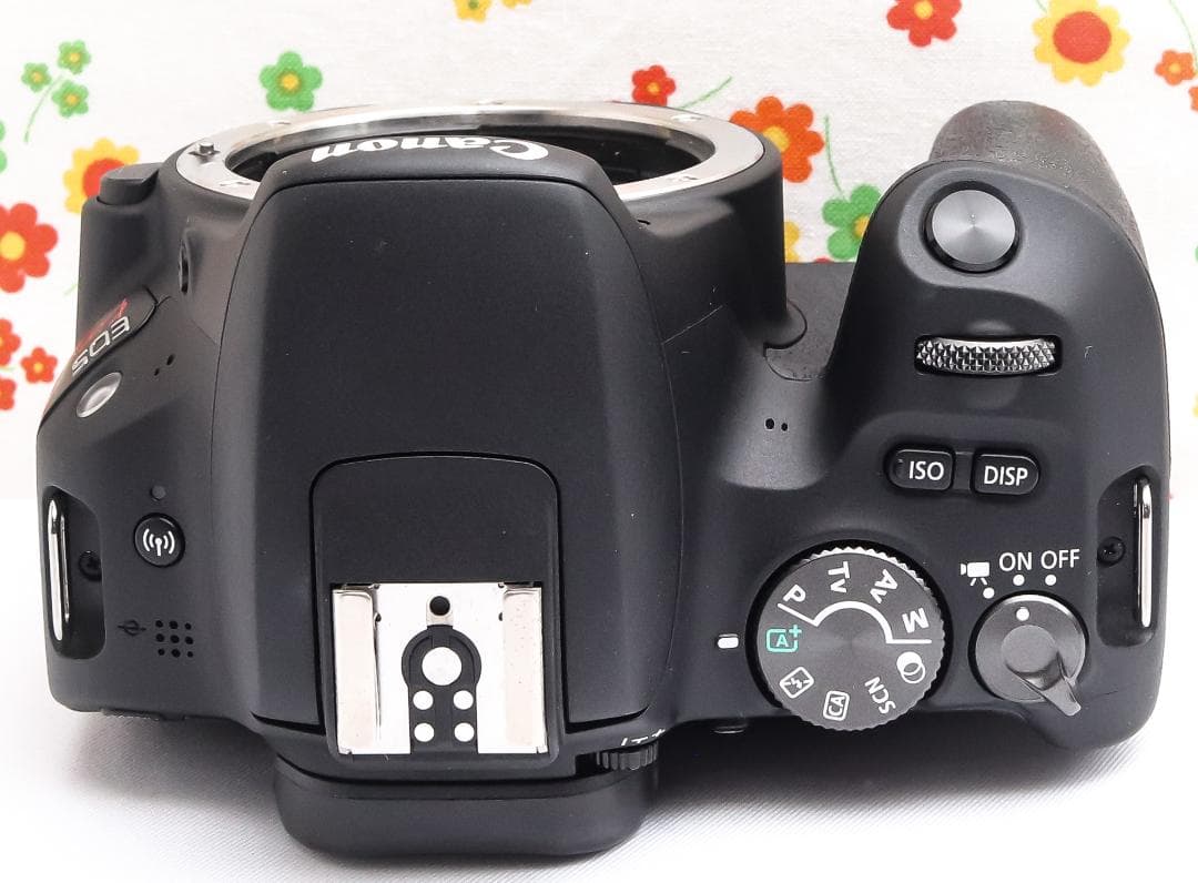 Canon EOS Kiss X9 ☆背景ふんわり！☆軽量ボディ☆スマホに転送