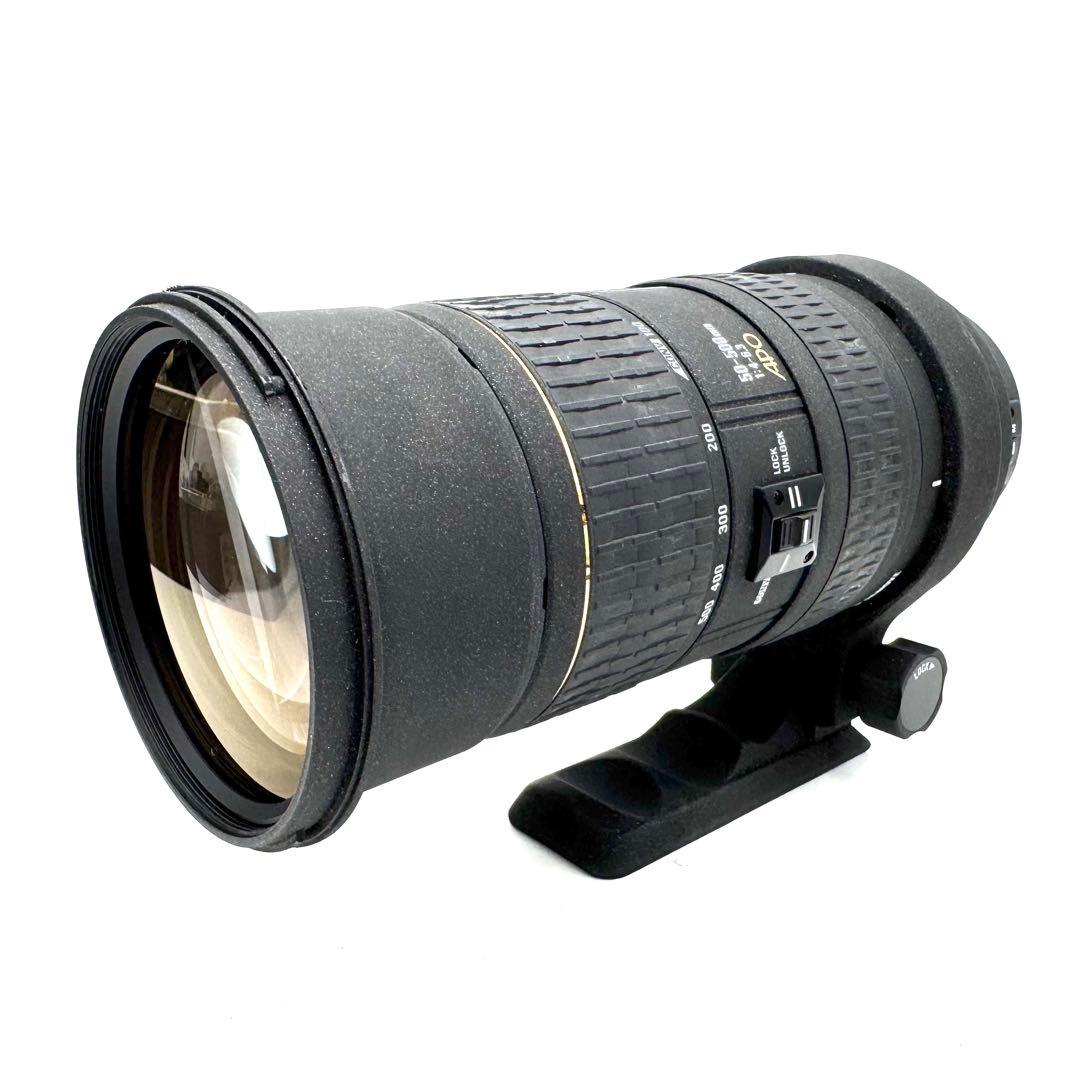 ❁大迫力！超望遠❁SIGMA 50-500mm EX APO HSM キャノン用