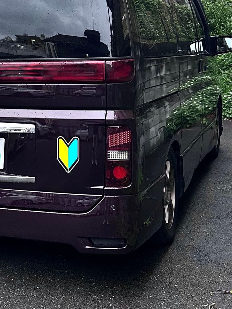 51エルグランド ワンオフ ロアテール