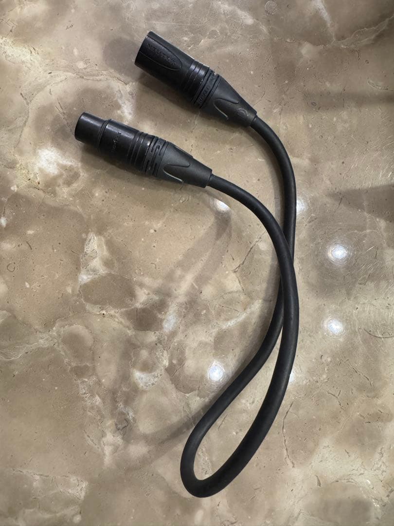 【美品】Roland BRIDGE CAST ☆おまけ付きマイクケーブル