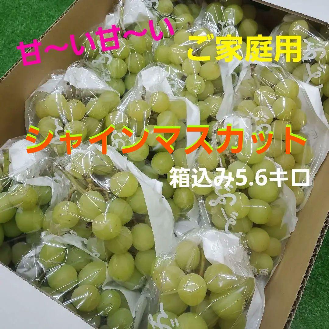 1⃣0️⃣ 山梨県産 シャインマスカット１３房 箱込み5.6キロ